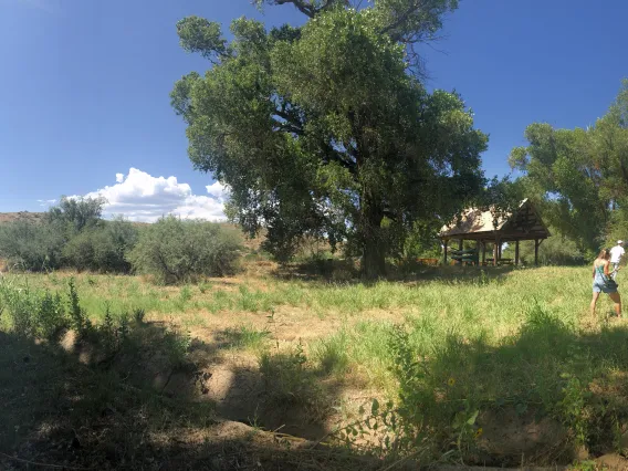 Site Photo