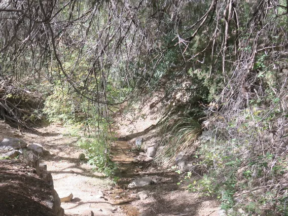 Water flowing from Apache Spring