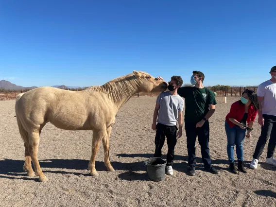 Mochik Ranch