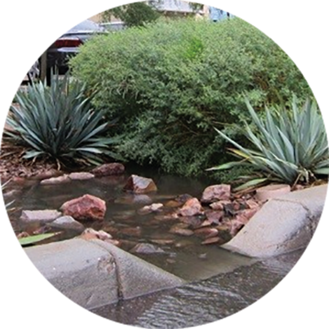 City of Tucson Climate Action and Adaptation Plan
