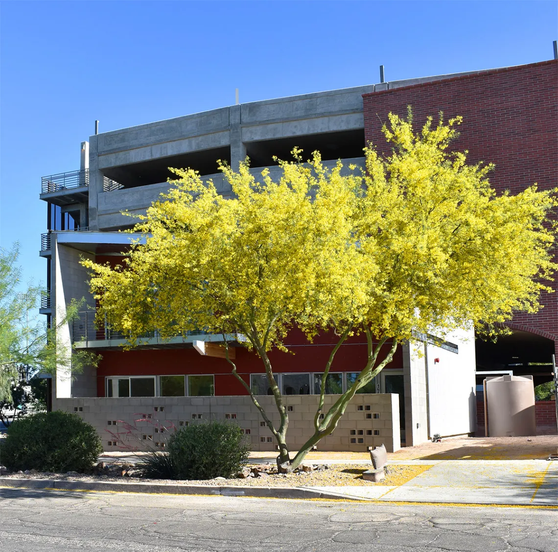 South Stadium Rowhouse 1