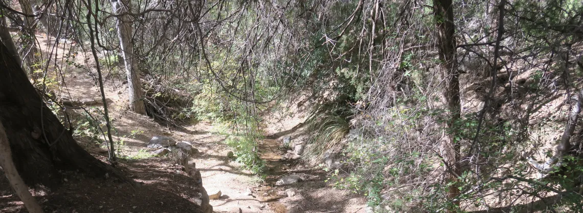 Water flowing from Apache Spring